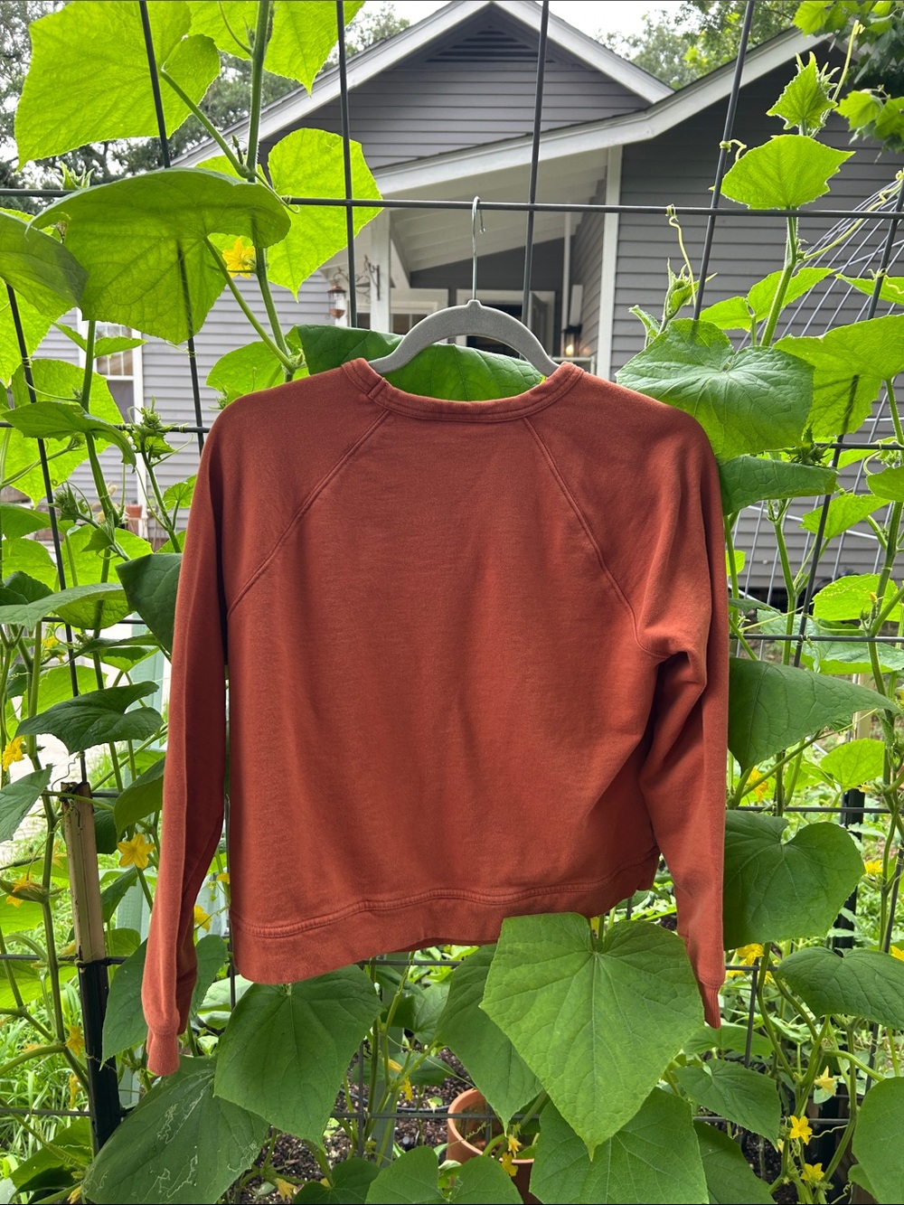 Universal Thread Rust Orange Pullover Sweatshirt - Picture 3 of 3